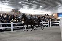 Lot 23-photos