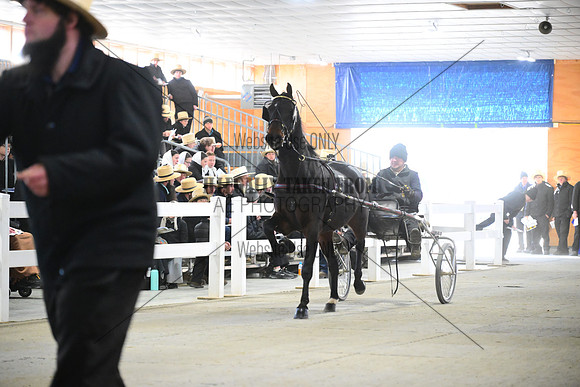 ASH_0450