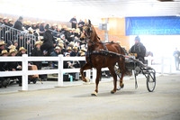 Lot 28