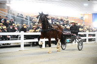 Lot 44