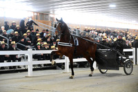 Lot 47