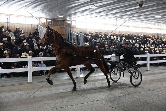 IMG_7537