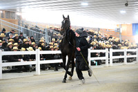 Lot 57