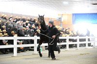 Lot 58