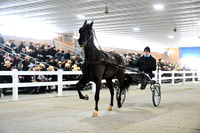 ASH_0678