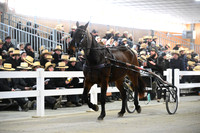 Lot 62
