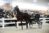Lot 66
