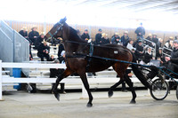 Lot 68