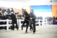 ASH_0763
