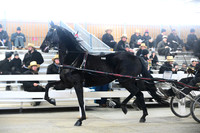 Lot 82