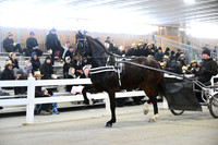 ASH_0957