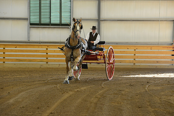 Thursday_cartclasses -13