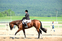 AJB_9103