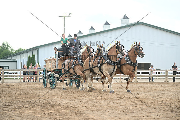 AJB_0717