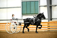 AJB_6857