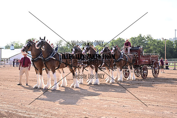 AJB_5139
