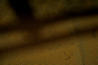 TMW02429