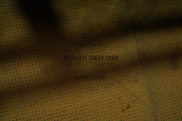 TMW02429