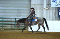All Breed Ranch Rail Walk Jog Canter