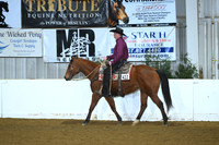 All Breed Ranch Rail Walk Jog