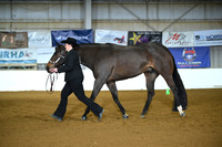 ASH_2012