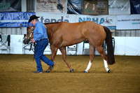 Open Aged Geldings