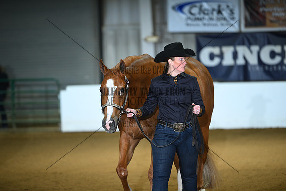 ASH_2491