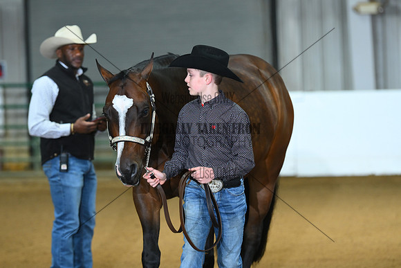 ASH_2461