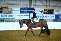 All Age Youth Hunter Under Saddle