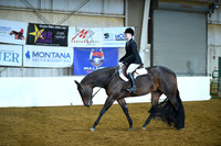 All Breed Hunter Under Saddle
