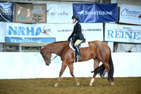 Amateur Hunter Under Saddle