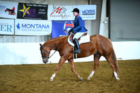 Amatuer Select Hunter Under Saddle