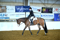 Junior Hunter Under Saddle