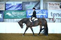 Level 1 Amateur Hunter Under Saddle