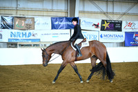 Level 1 Open Hunter Under Saddle