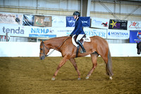 Level 1 Youth Hunter Under Saddle
