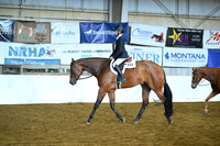 Senior Hunter Under Saddle