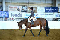 Youth Walk-Trot Hunter Under Saddle
