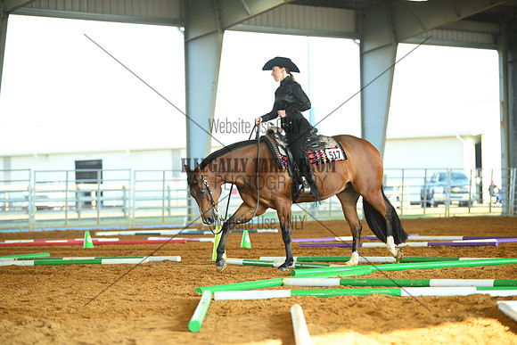 ASH_3896