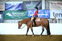 14-18 Western Pleasure