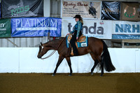 All Breed Walk Jog Western Pleasure