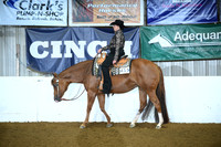 All Breed Western Pleasure