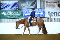 Level 1 Amateur Walk Jog Western Pleasure
