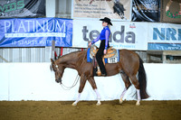Level 1 Amateur Western Pleasure