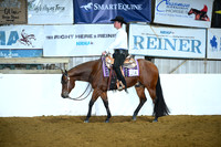 Level 1 Open Western Pleasure