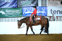 Level 1 Youth Walk Jog Western Pleasure