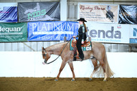 Level 1 Youth Western Pleasure
