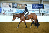 All Age Youth Hunter Under Saddle