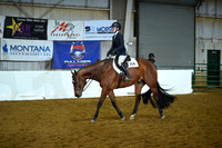 All Breed Hunter Under Saddle