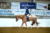 All Breed Walk Trot Hunter Under Saddle